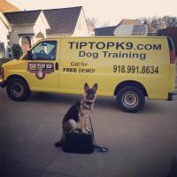 Tip Top K9 Tulsa Dog Training image 13